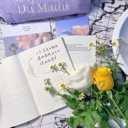 关于花季节最新爆料的文案,揭秘最新花季节秘闻大揭秘 第1张 关于花季节最新爆料的文案,揭秘最新花季节秘闻大揭秘 第1张