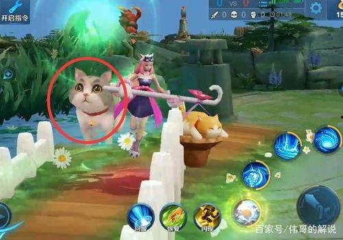 橘猫王者爆料视频大全,视频大全揭秘猫咪电竞传奇 第3张 橘猫王者爆料视频大全,视频大全揭秘猫咪电竞传奇 第3张